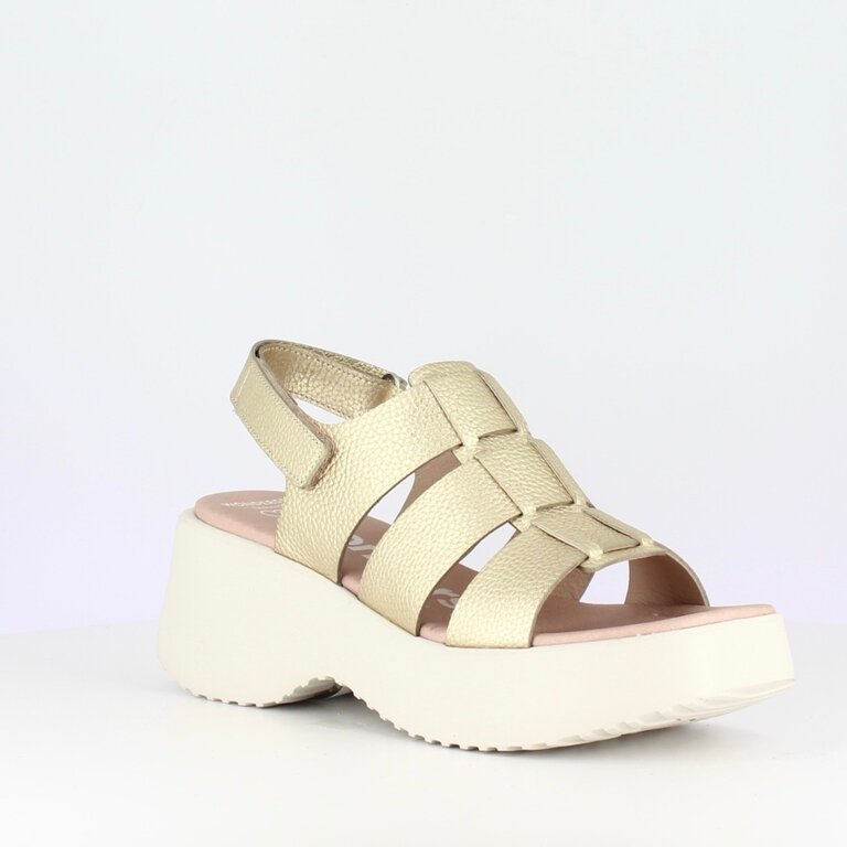 Wonders Wonders chunky fisherman