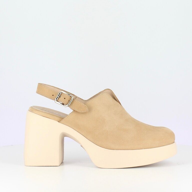 Wonders Wonders  clog