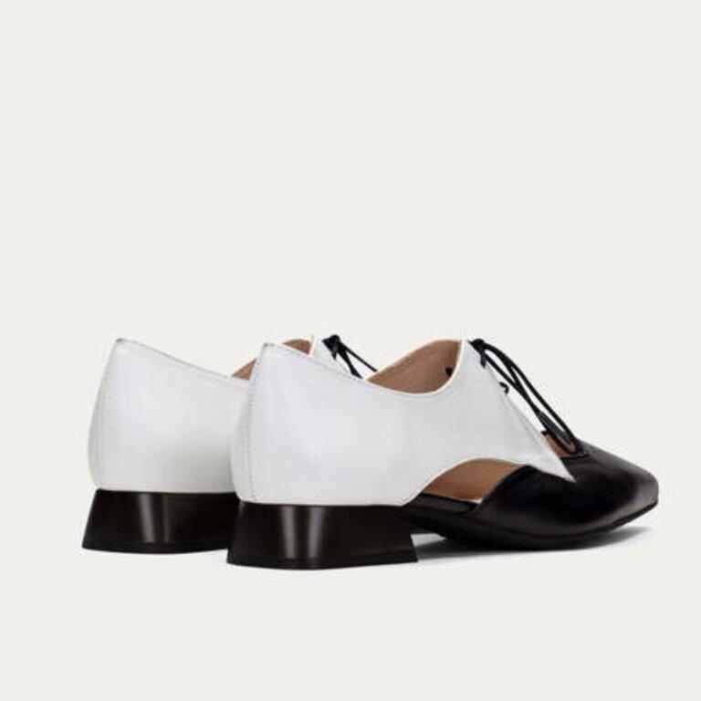 Hispanitas Dali lace-up