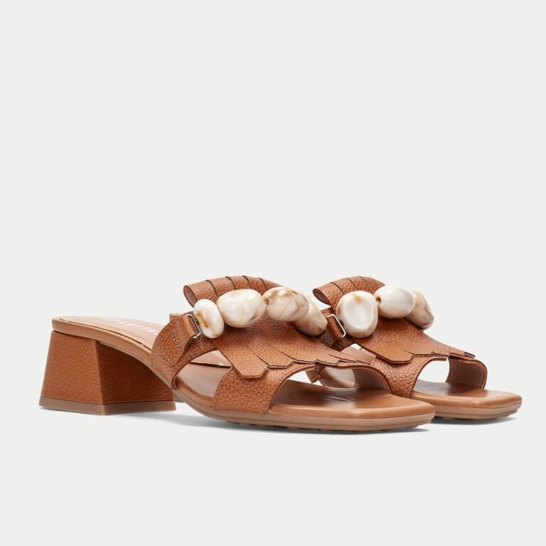 Hispanitas Dallas slide