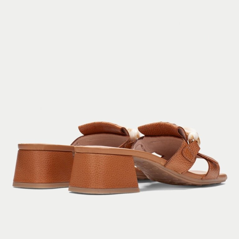 Hispanitas Dallas slide