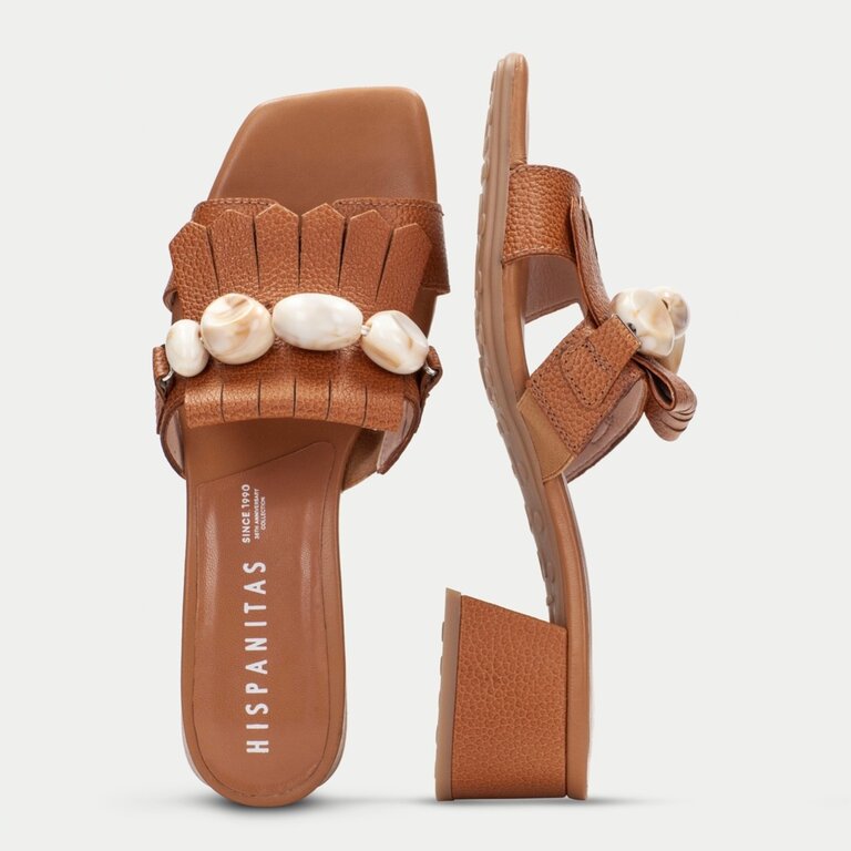 Hispanitas Dallas slide