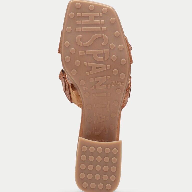 Hispanitas Dallas slide