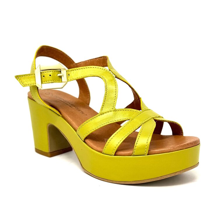 Unity in Diversity Starlight sync heel