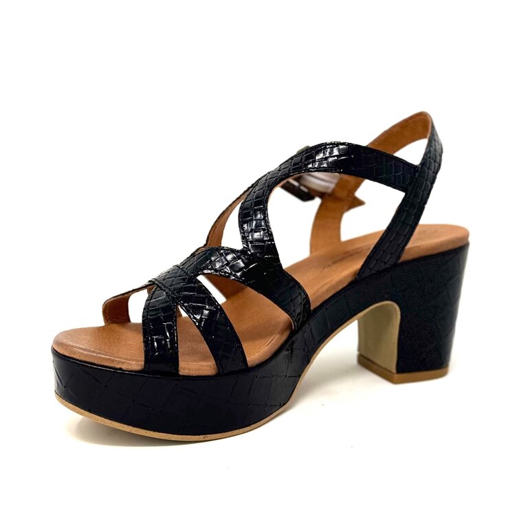 Unity in Diversity Starlight sync heel