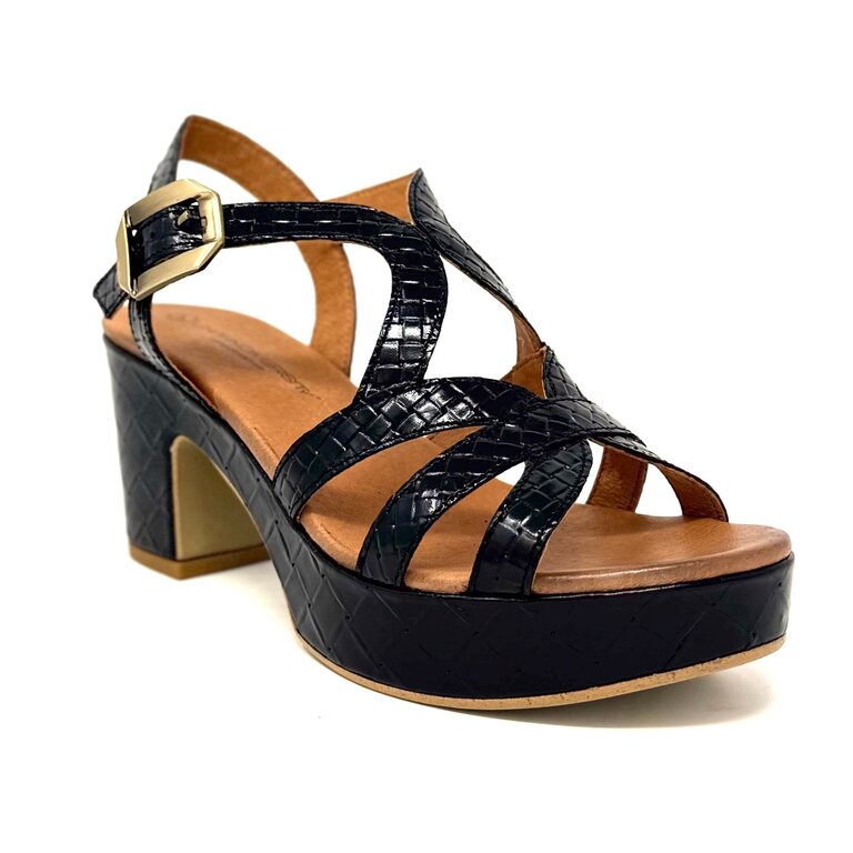 Unity in Diversity Starlight sync heel