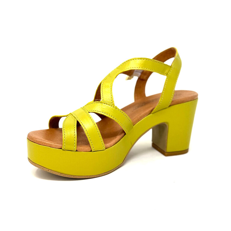 Unity in Diversity Starlight sync heel