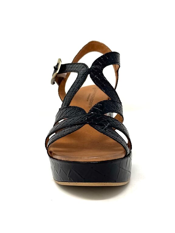 Unity in Diversity Starlight sync heel