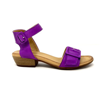 Miz Mooz Chessie sandal w/buckle