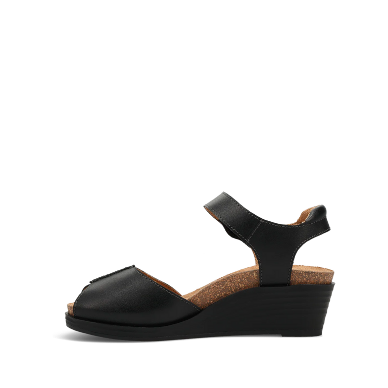 Taos Promise wedge