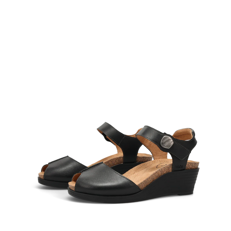 Taos Promise wedge