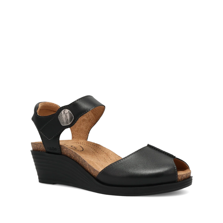 Taos Promise wedge
