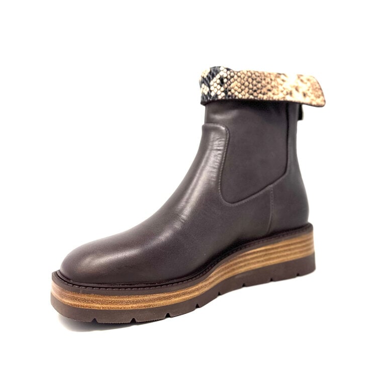 Django & Juliette Tonline boot w/print collar