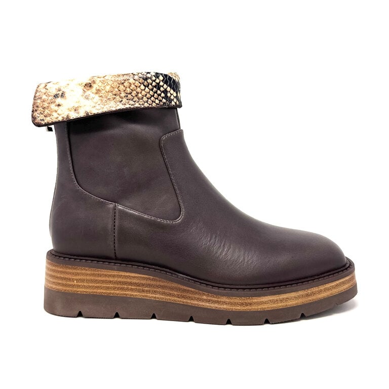 Django & Juliette Tonline boot w/print collar