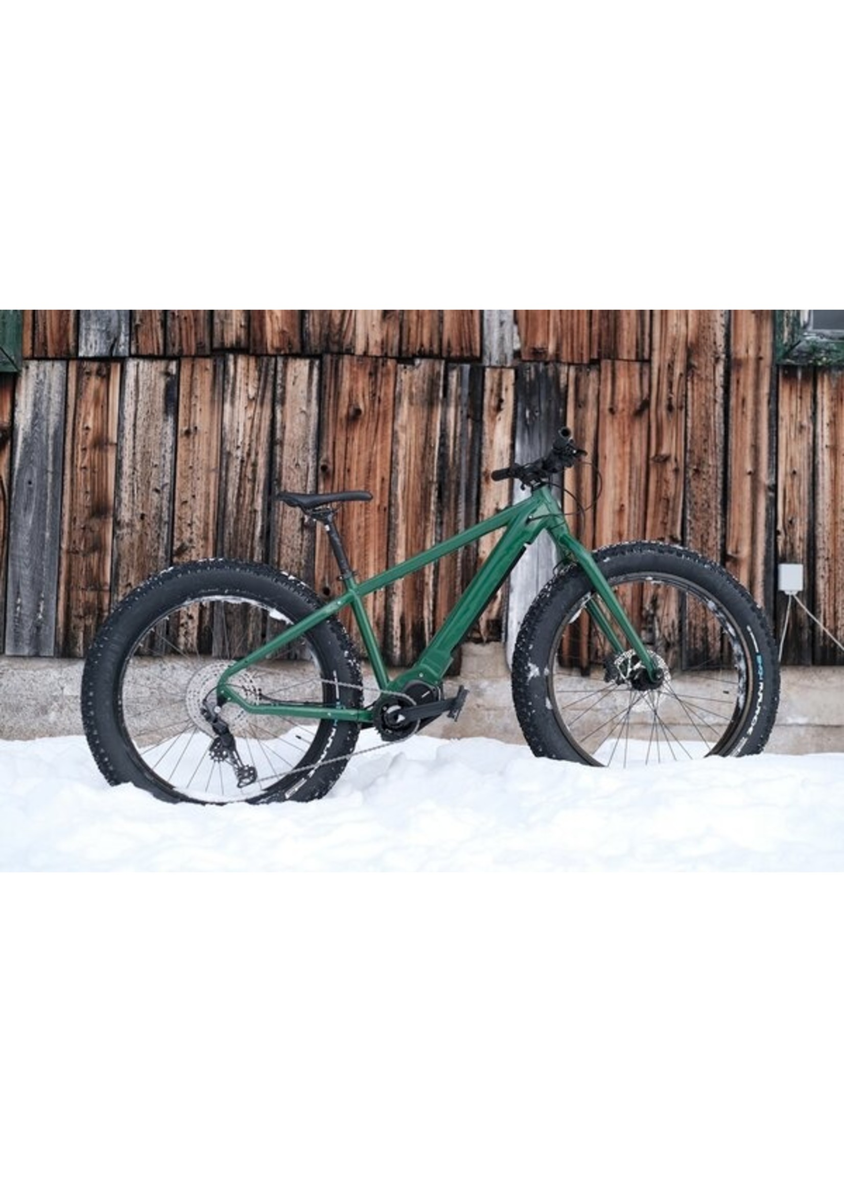 Moose Moose- E-Fat Bike, Green