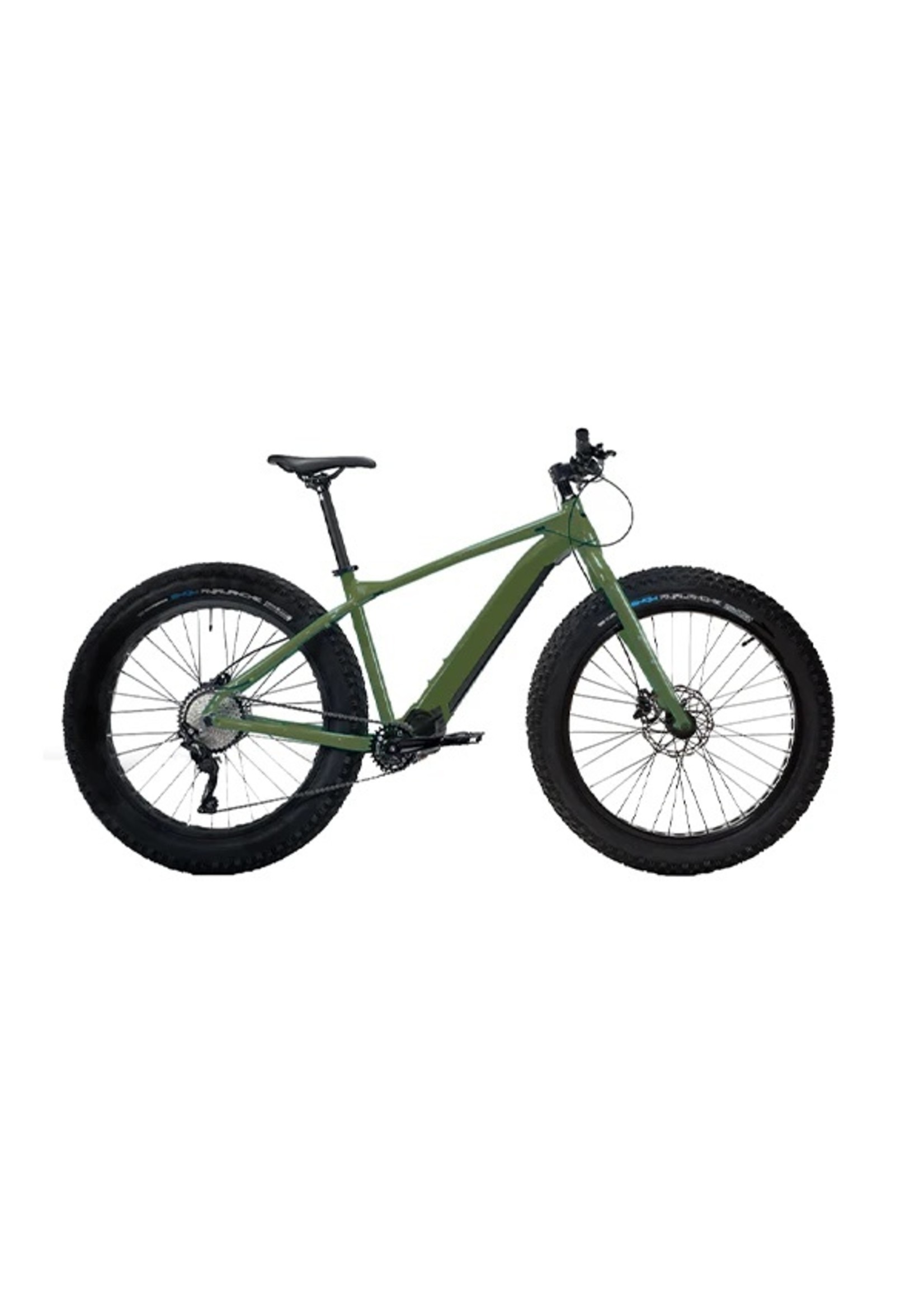 Moose Moose- E-Fat Bike, Green