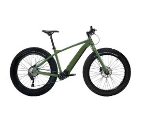 Moose E Fat Bike Green Sessions Ride Co