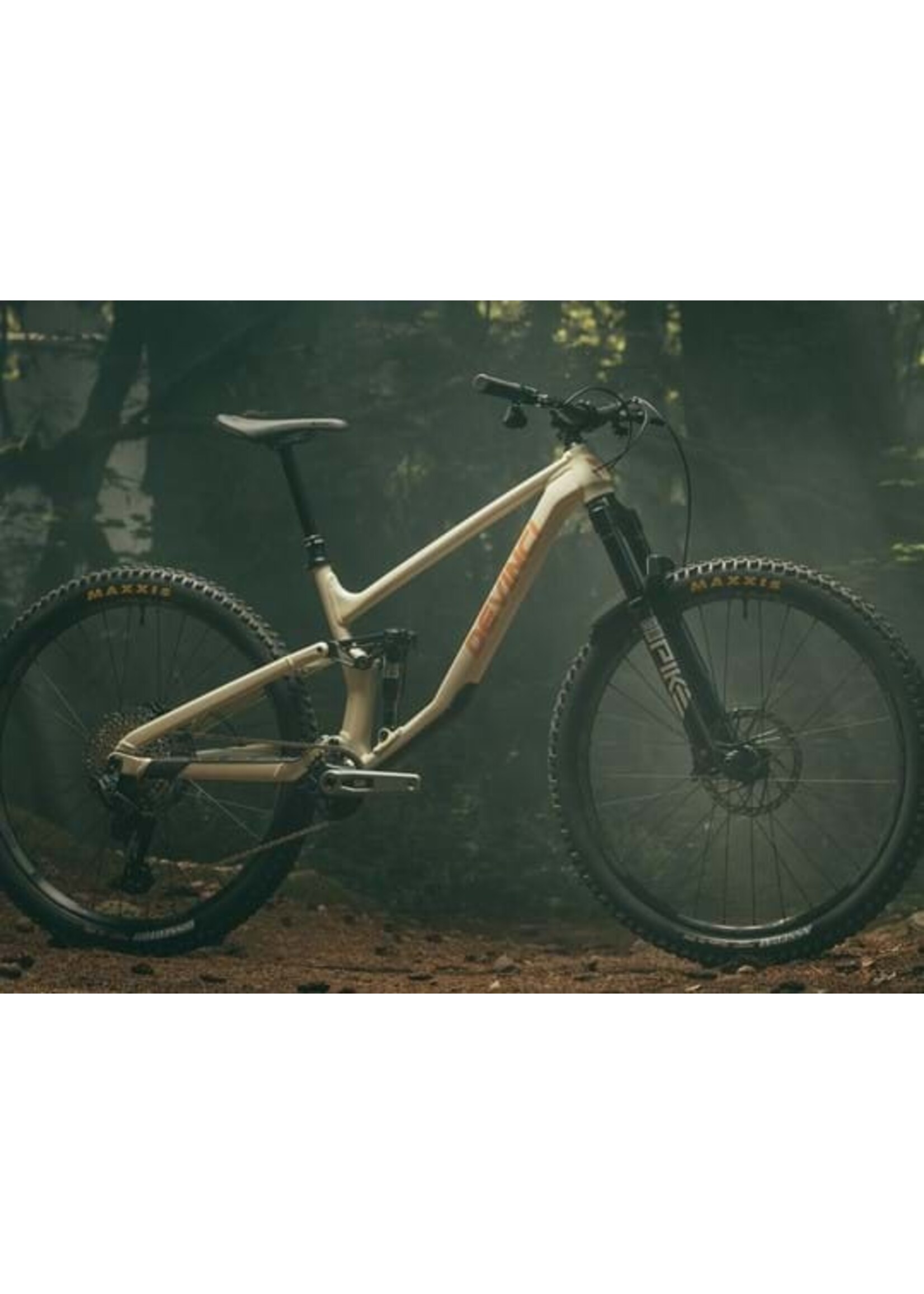 Devinci Devinci- Troy ST, A29, GX AXS, Stone
