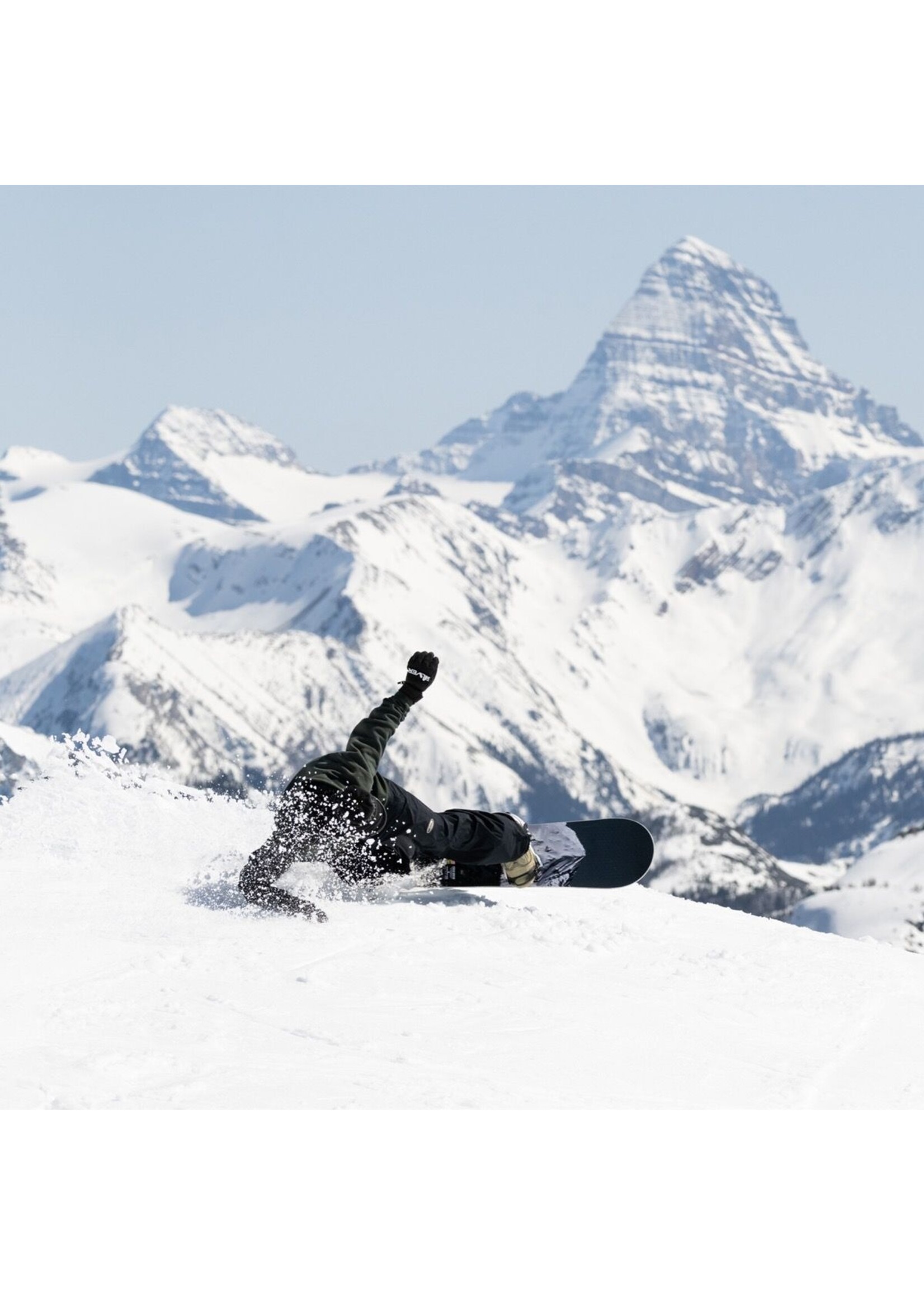 lib tech Lib Tech- Cold Brew, 2026,