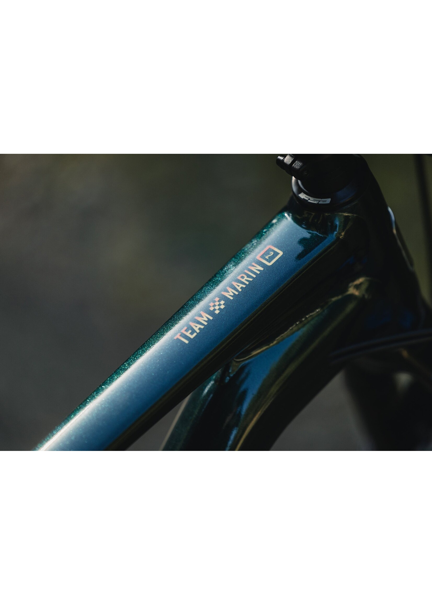 Marin Marin- Team Marin 1, 29, Solid Green, Med