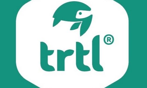 TRTL PILLOW