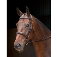 Shires Rosano Bridle