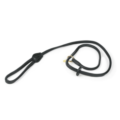 Digby Rolled Dog Lead