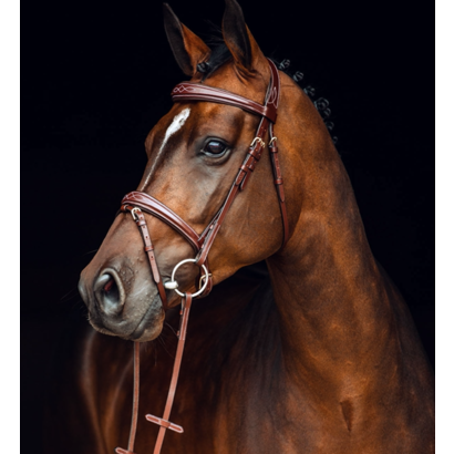 Horze Sion Bridle