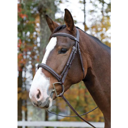 Shires Ocala Bridle