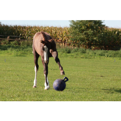 Jolly Ball HITS