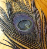 FLYBOX UK DYED PEACOCK EYES