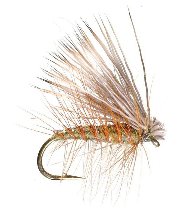 Elk Hair Caddis Per 3 Blue Quill Angler