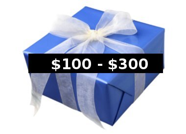Gifts $100-$300