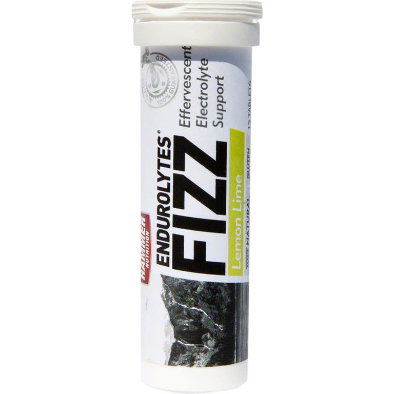 Hammer Nutrition ENDUROLYTES FIZZ