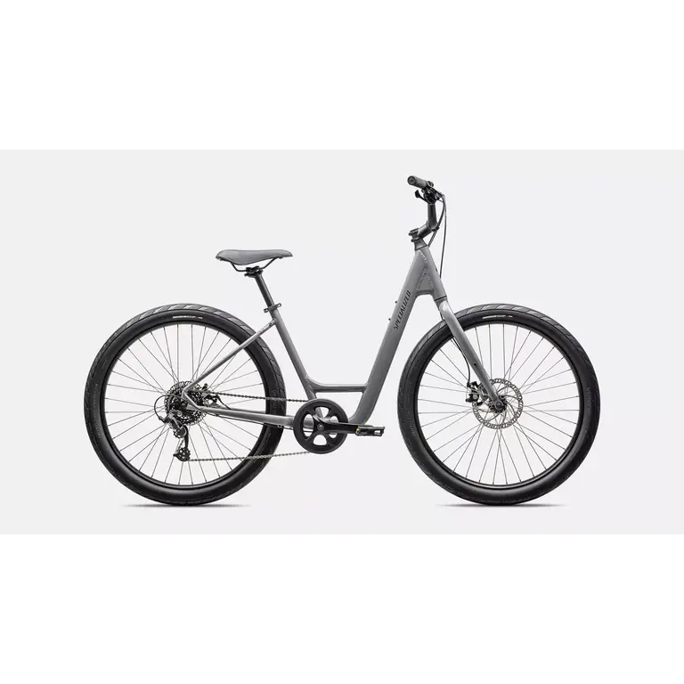 Specialized ROLL 2.0 LOW ENTRY CLGRY/SMK S