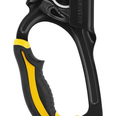 Petzl Ascension Ascender Petzl Ascension Ascender