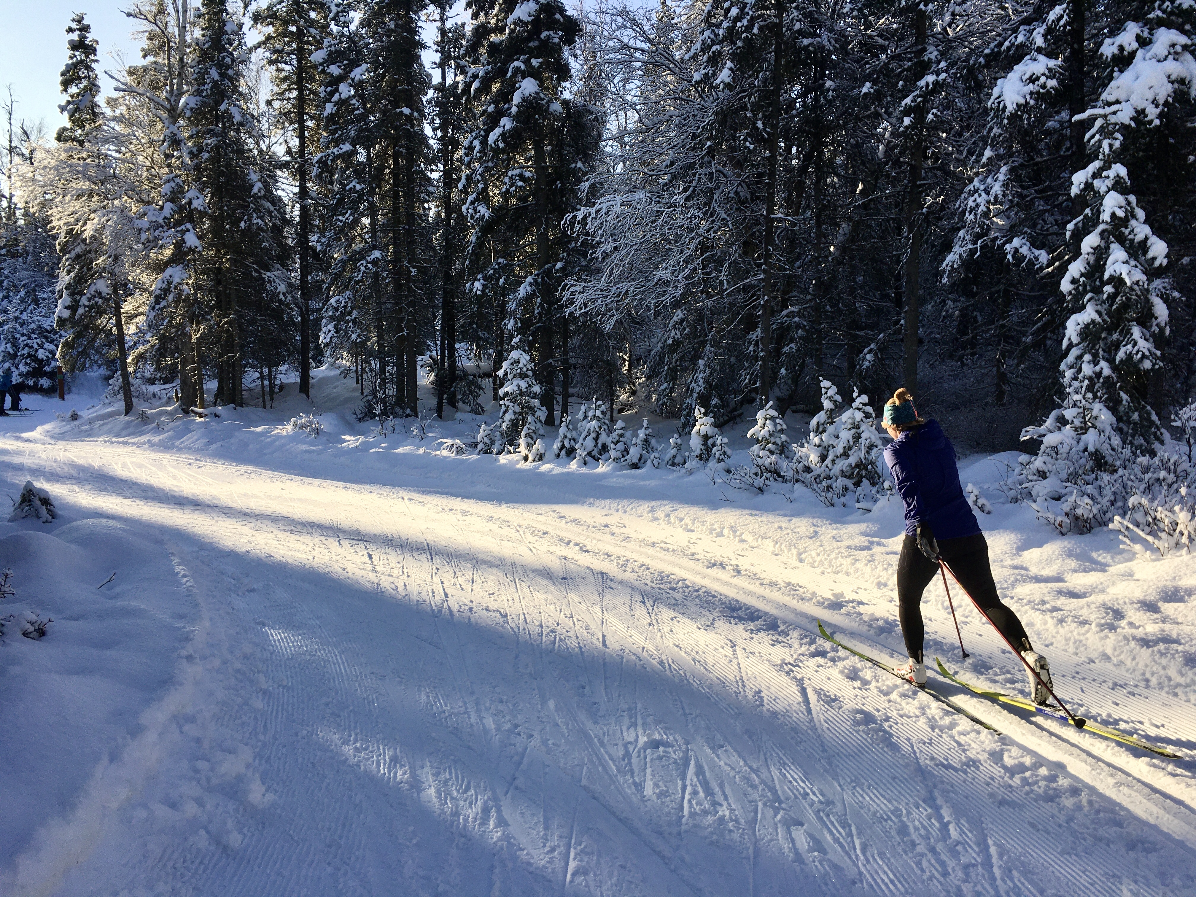 Our Tour reccomendation is here! Click the image to the left to be taken to read it. We have a large selection of waxes in the store if you need to fill out your selection!