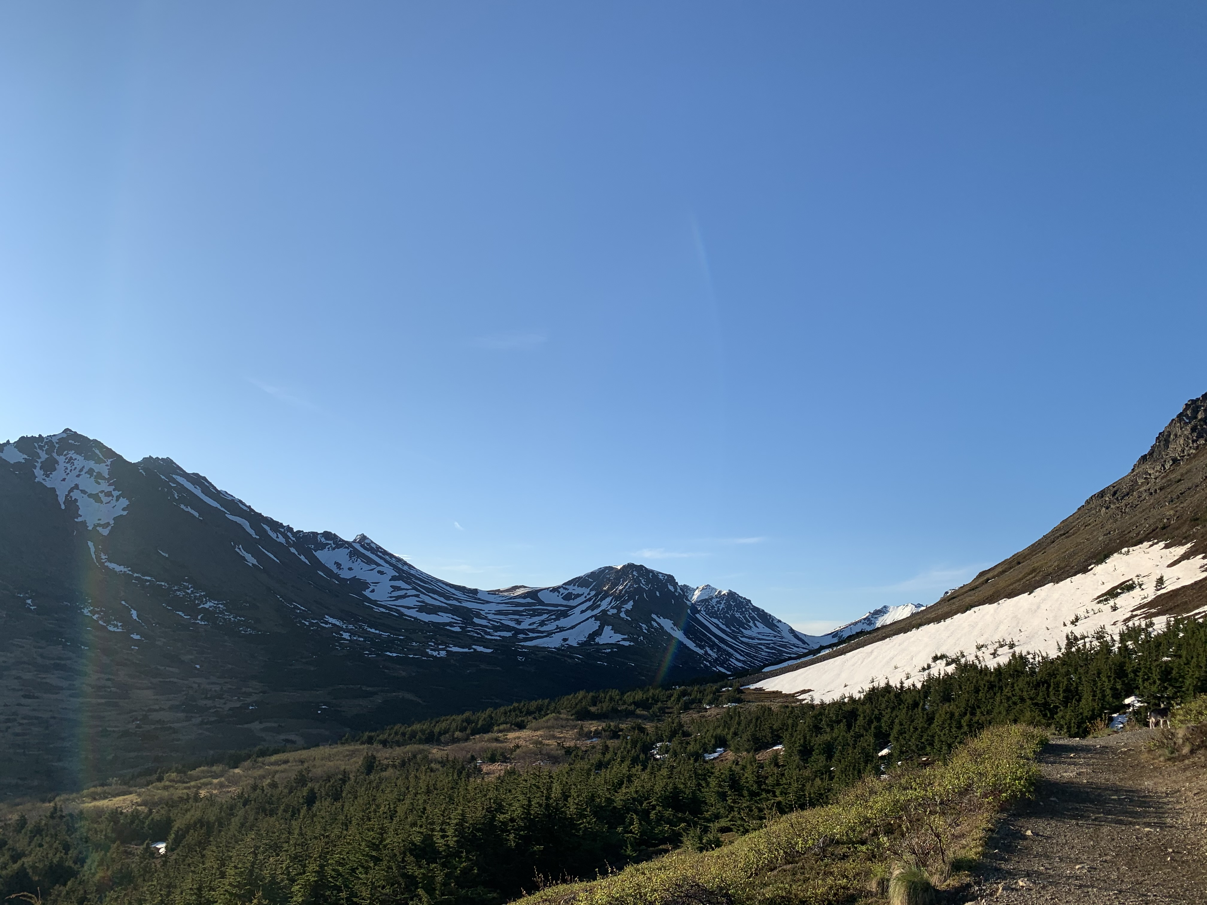 AMH is currently open from 9am-7pm Monday-Saturday and 11am-7pm on Sunday. We are asking  all customers  to wear a face covering. Thank you for your support during these times, and we look forward to seeing you!