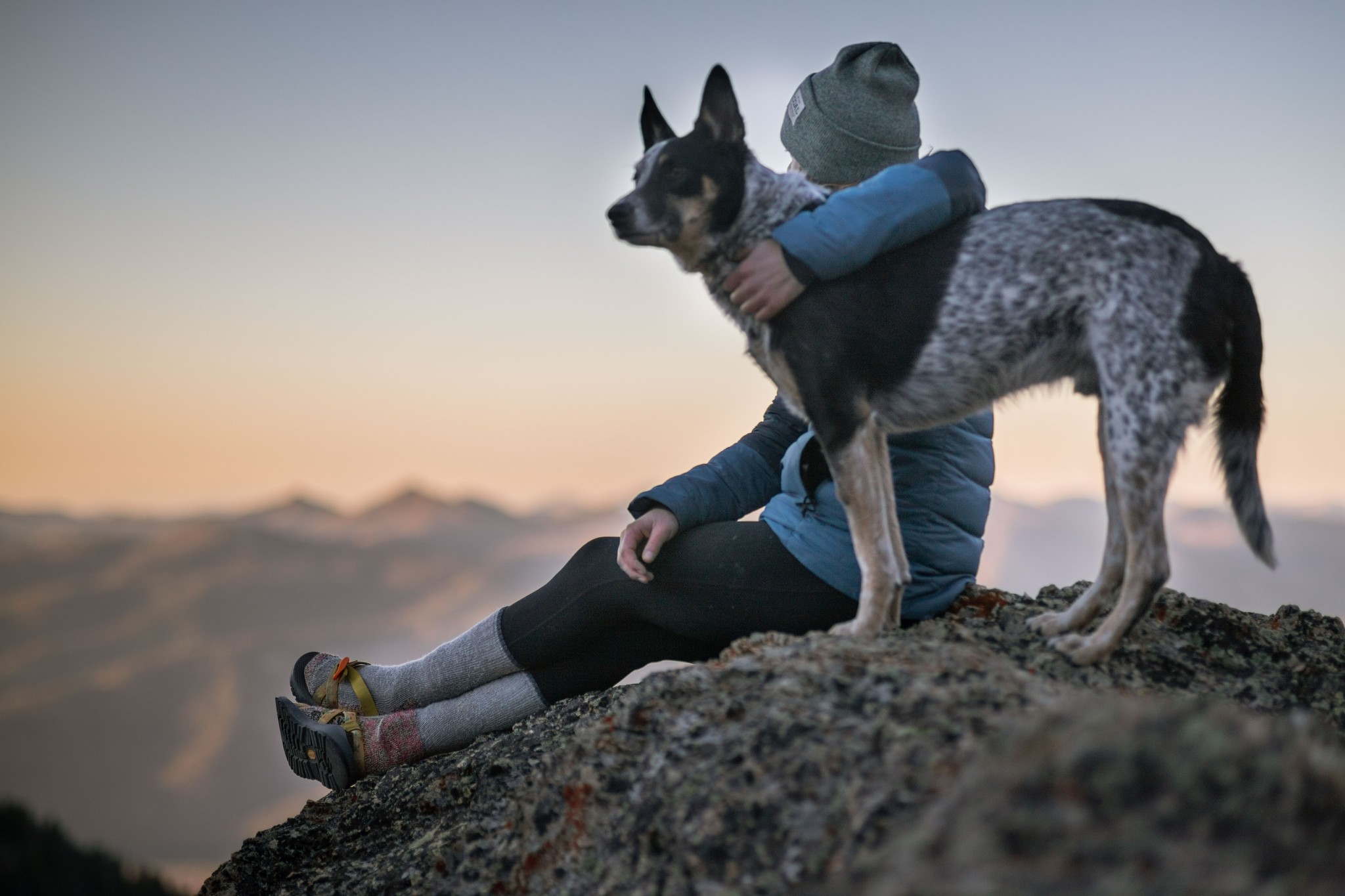 Take a Walk on the Wild Side: The Benefits of Feeding Raw Pet Food