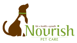 Luxury Cat Boarding Pet Store Houston Tx Nourish Pet Care
