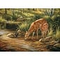 Cobble Hill Deer Family 350 Piece Family Puzzle