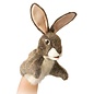 Folkmanis Puppets Little Hare Hand Puppet