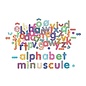 Vilac Wood Lower Case Alphabet Magnets by Vilac