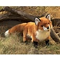 Folkmanis Puppets Red Fox Hand Puppet