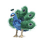 Folkmanis Puppets Peacock Hand Puppet