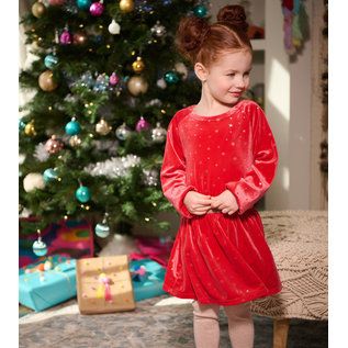 Hatley Holiday Stars Crushed Velour Dress By Hatley