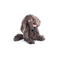 Moulin Roty Chien Pourri Soft Toy by Moulin Roty