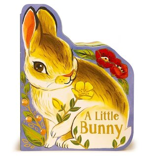 Book A Little Bunny Board Book
