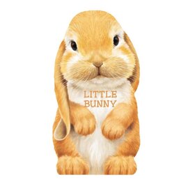 Book Little Bunny Board Book