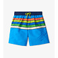 Hatley Malibu Stripe Swim Trunks by Hatley